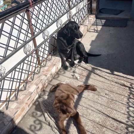 Mehra Cottage Almora Luaran gambar