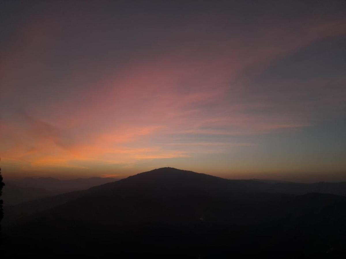 Mehra Cottage Almora Luaran gambar