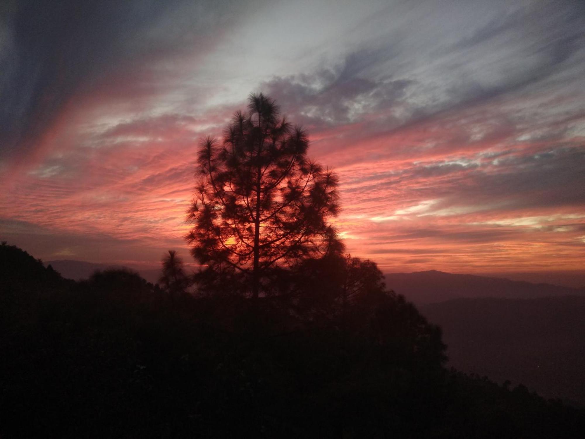 Mehra Cottage Almora Bilik gambar